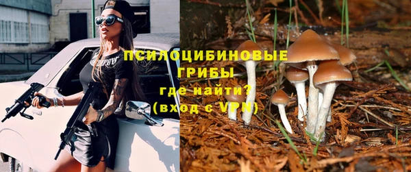 мескалин Осинники