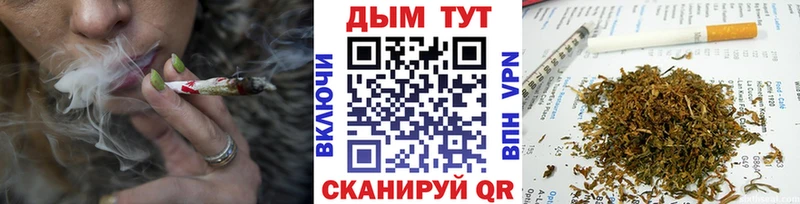 Канабис SATIVA & INDICA  Ростов 